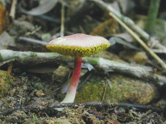 圖片關(guān)鍵詞 圖片關(guān)鍵詞