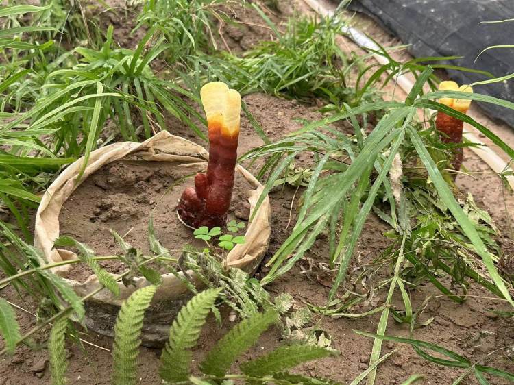 圖片關(guān)鍵詞 圖片關(guān)鍵詞