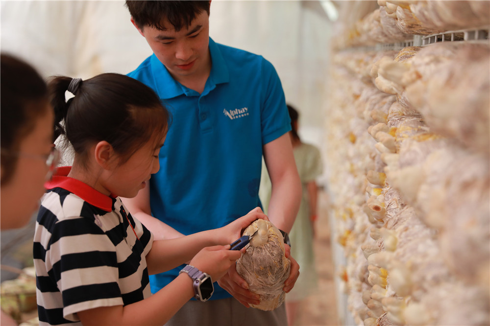 圖片關(guān)鍵詞 圖片關(guān)鍵詞