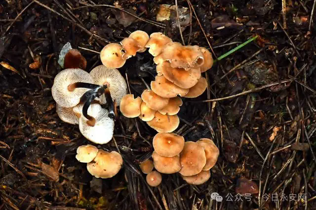 圖片關鍵詞 圖片關鍵詞