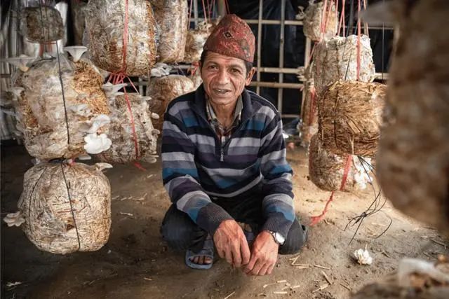 圖片關鍵詞 圖片關鍵詞