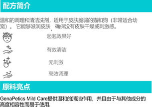 寵物護理產品開發的二三事 從理念到軟件的融合之旅