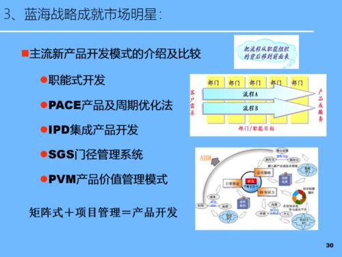 PPT新品開發(fā)及產(chǎn)品戰(zhàn)略規(guī)劃 軟件開發(fā)視角