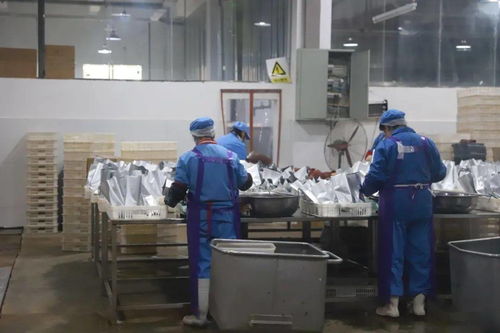 排查冷鏈冷凍產品，守護舌尖上的安全 —— 網絡服務如何筑牢餐桌防線
